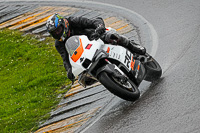 Advanced Group White Bikes